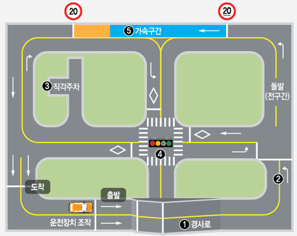장내기능